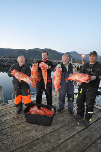 okounici, srpen v kraji Finnmark, foto Milan WISO