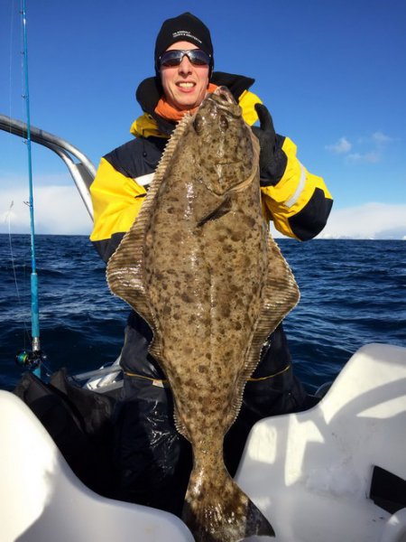halibut z Nordskot halibut z Nordskot