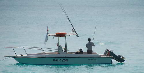 lod Halcyon I pro 2-3 rybare