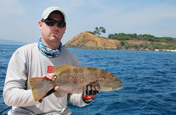 kanic hnedoteckovany - coral trout