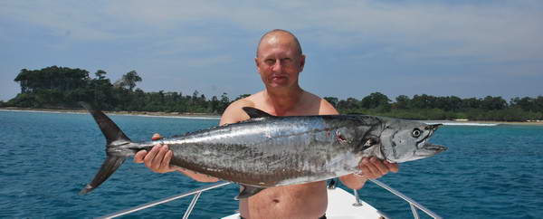 kralovska makrela 16 kg