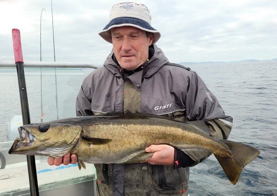 polak 88 cm uloveny na privlac v cervnu, Fossen-Roan polak 88 cm uloveny na privlac v cervnu, Fossen-Roan