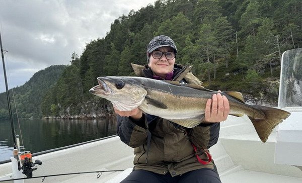 letni polak z Tingvollfjordu, foto Jirka Fraus letni polak z Tingvollfjordu, foto Jirka Fraus