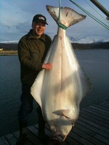 halibut, cerven halibut, cerven
