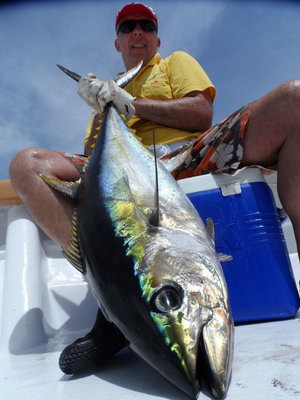 tunak zlutoploutvy / yellowfin tuna - duben