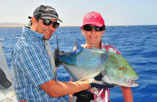 kranas modroploutvy - bluefin kranas modroploutvy - bluefin