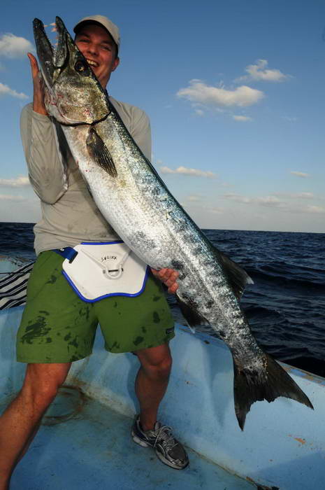 barakuda 136 cm barakuda 136 cm