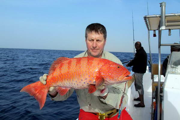 kanic - grouper uloveny na jig kanic - grouper uloveny na jig