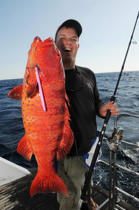 kanic - grouper kanic - grouper
