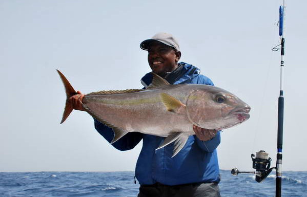 kranas jantarovy - amberjack 110 cm, 14 kg