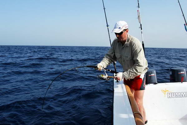 tunak dogtooth, 124 cm, 22 kg tunak dogtooth, 124 cm, 22 kg