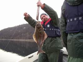 Lavan - platys obecny - halibut - 66 cm Lavan - platys obecny - halibut - 66 cm