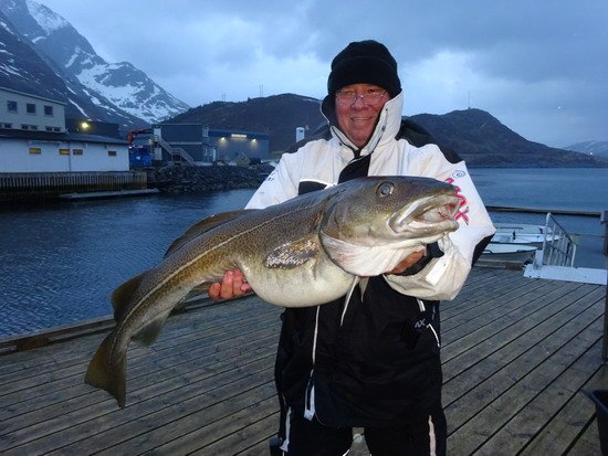 Treska obecná-skrei 100 cm z prvního dne