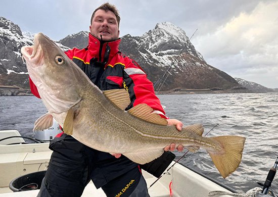 Skrei 99 cm