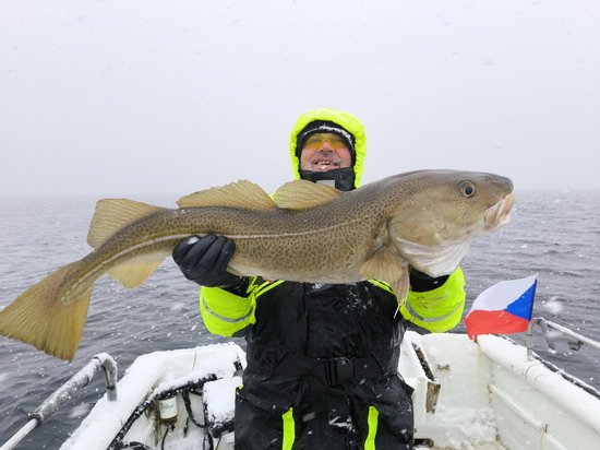 Skrei