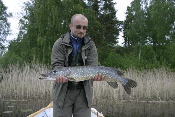 stika 81 cm, jezero Vindommen