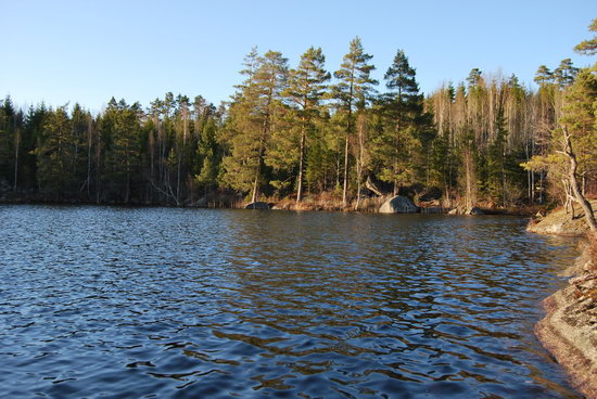 lesni pstruhove jezero