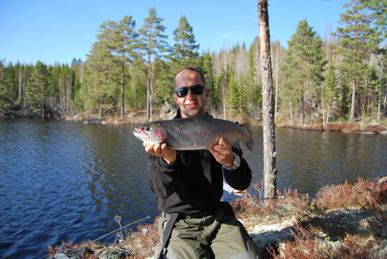 pstruh duhovy 55 cm z lesniho jezirka, kveten pstruh duhovy 55 cm z lesniho jezirka, kveten