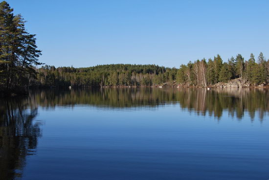 lesni pstruhove jezero v kvetnu lesni pstruhove jezero v kvetnu