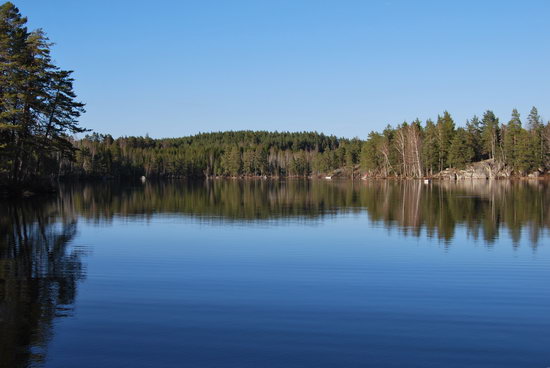 lesni pstruhove jezero v kvetnu