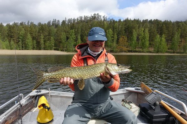 stika 68 cm z jezera Bjorkern stika 68 cm z jezera Bjorkern