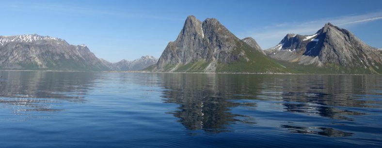 SENJA