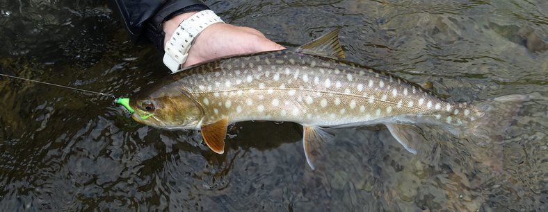 KAMČATKA