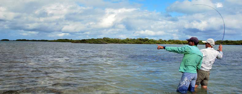 Los Roques