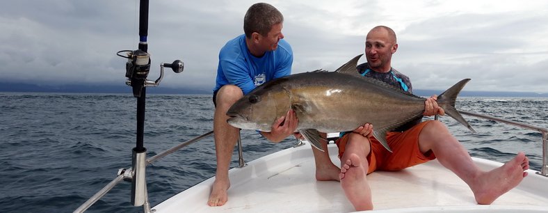 Amberjack