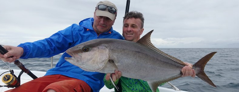 Amberjack