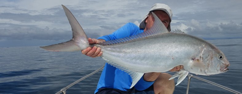 Amberjack