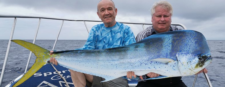 KOLUMBIE