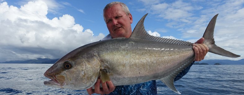 AMBERJACK