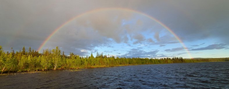 LESJÖN