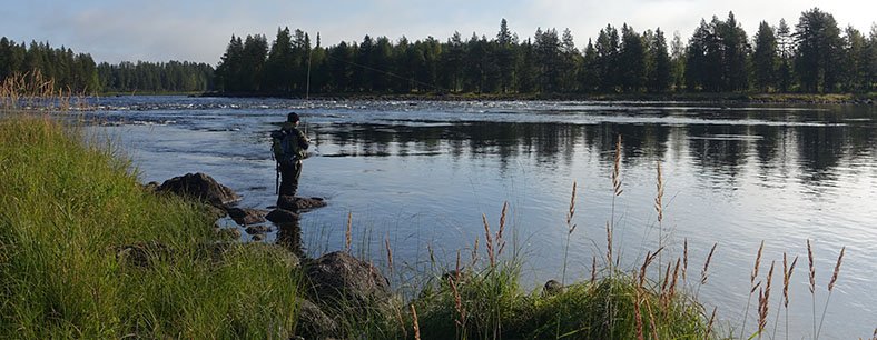 Vindelälven