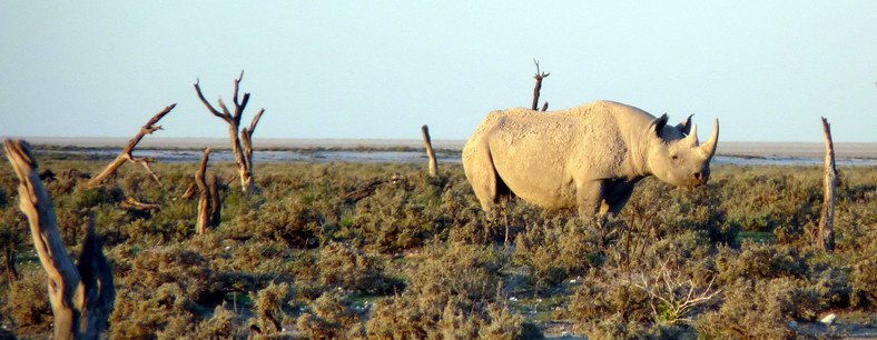 Namibie