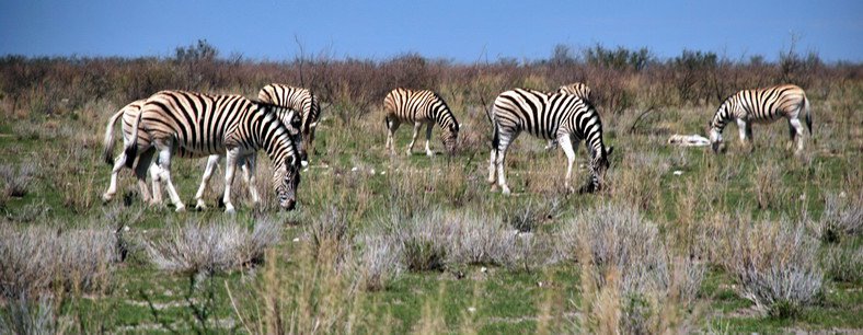 Namibie