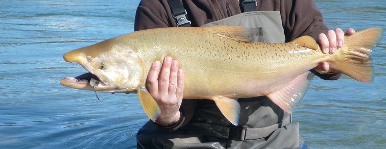 PATAGONIE