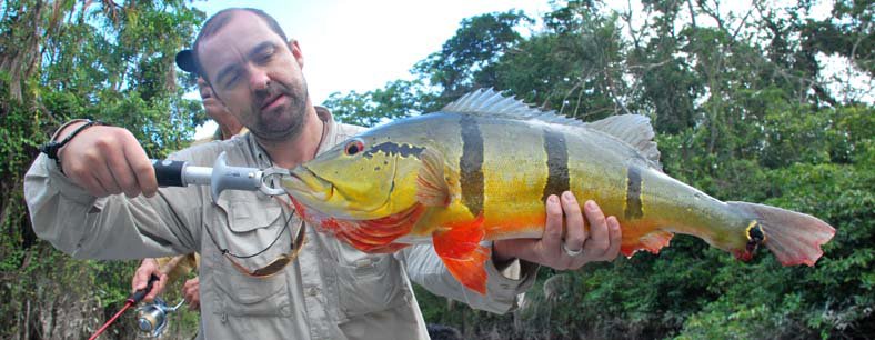 Amazonie