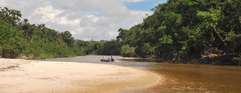 Amazonie