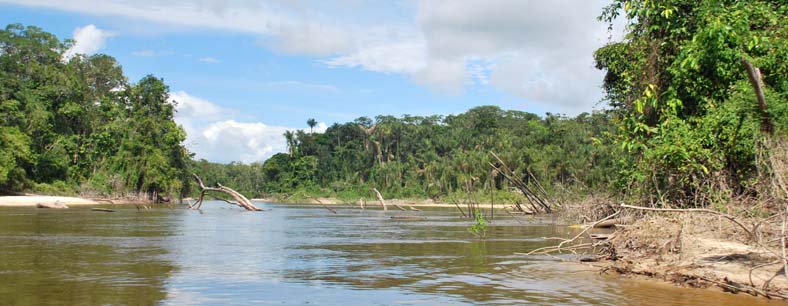 Amazonie
