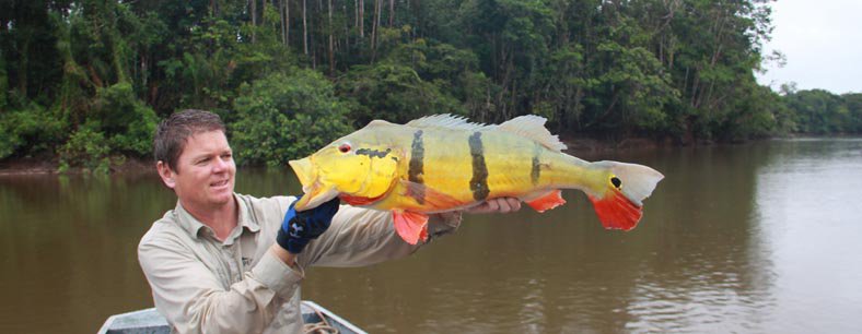 Amazonie