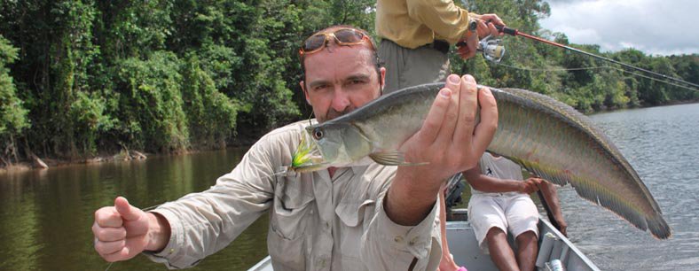 Amazonie